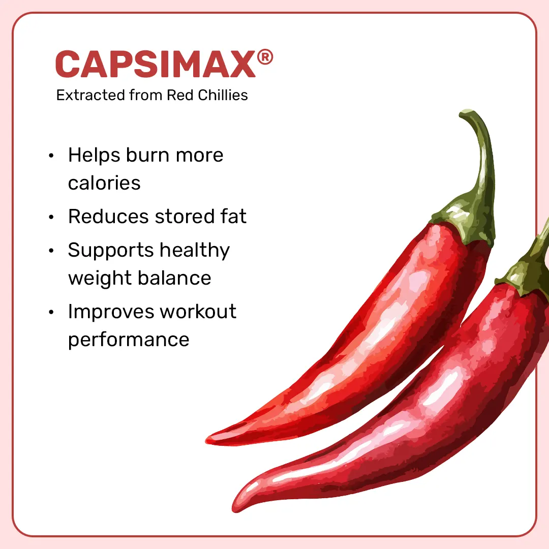 Daily Burner Capsules - Image 7