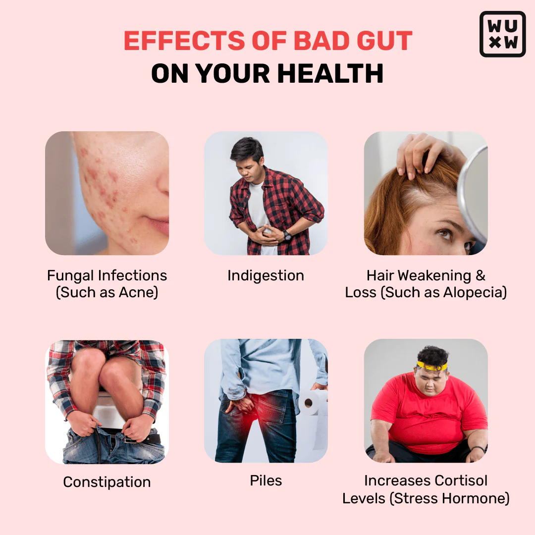 Good Gut Great Looks - Image 4