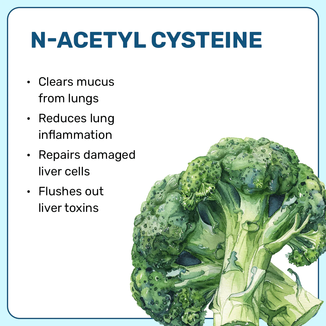 Lung & Liver Detox Capsules - Image 8