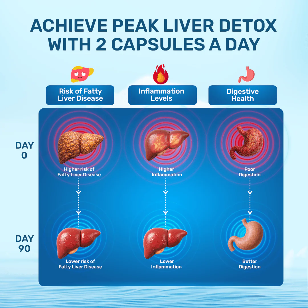 Lung & Liver Detox Capsules - Image 7