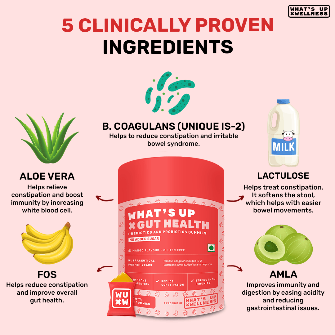 What's Up Gut Health Gummies - Image 4