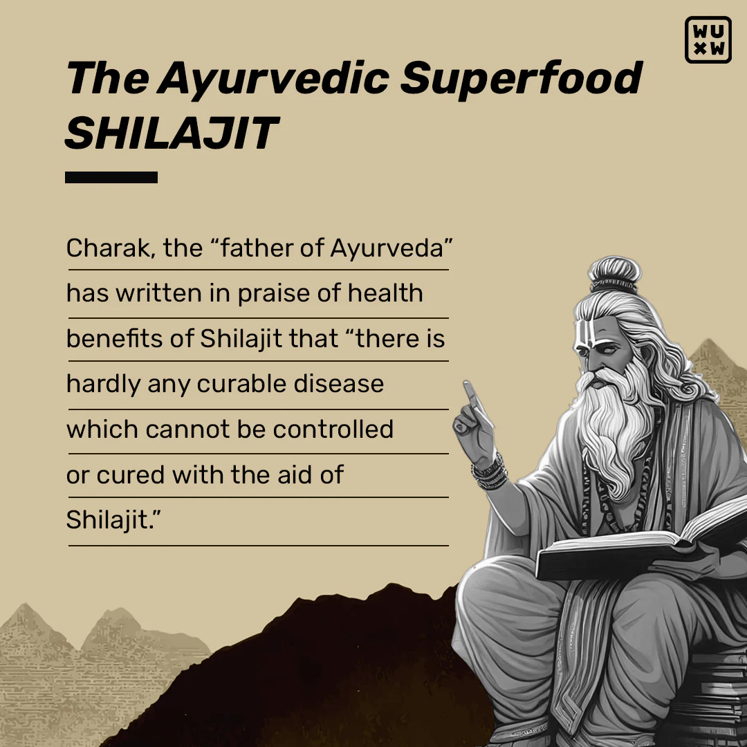 What's Up Shilajit Gummies - Image 8